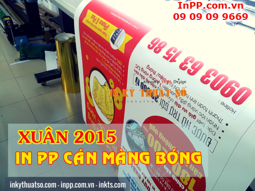 Dich vu in PP can mang bong tu Cong ty TNHH In Ky Thuat So - Digital Printing 