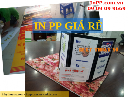 Địa điểm in PP giá rẻ, uy tín, chất lượng tại Tp.HCM, 489, Nhaphuong, InPP.com.vn, 17/03/2015 12:07:25