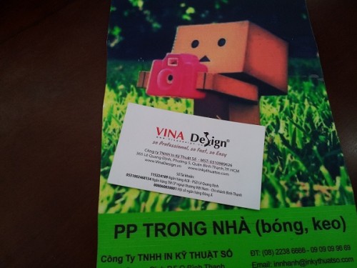 In ấn tranh trang trí từ pp trong nhà bóng keo với in phun khổ lớn tại Tp.HCM, 399, Huyen Nguyen, InPP.com.vn, 24/07/2014 16:22:00