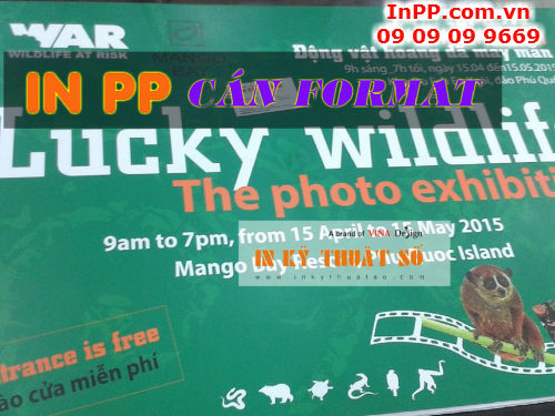 In PP cán format làm bảng giới thiệu triển lãm ảnh 'động vật hoang dã may mắn', 524, Minh Tâm, InPP.com.vn, 11/04/2015 10:29:54