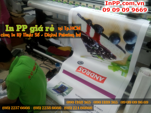 Đặt in PP tại quận 1, giao hàng miễn phí với Công ty TNHH In Kỹ Thuật Số - Digital Printing Ltd 