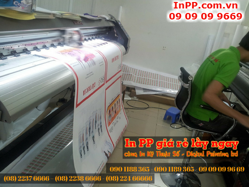 Đặt in PP giá rẻ lấy ngay tại Tân Bình cùng Công ty TNHH In Kỹ Thuật Số - Digital Printing Ltd 