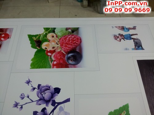 In trang trí hình trái cây, hoa quả cho quán | In PP cán format từ In Kỹ Thuật Số